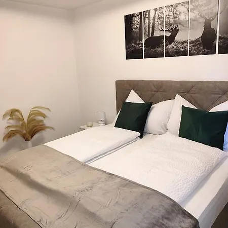 Modern Mountain - Free Parking & Sauna Appartement Obertauern