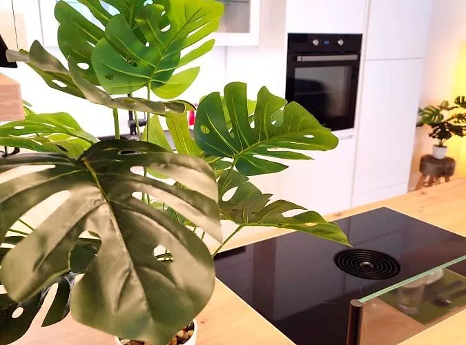 Modern Mountain - Free Parking & Sauna